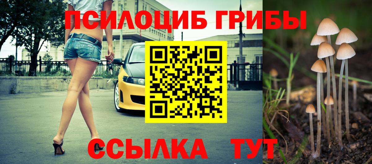 Тара  Галлюциногенные грибы мицелий  Вход с VPN 